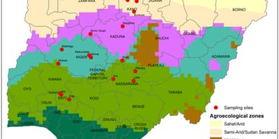Zemljevid nigeriji, ki prikazuje rastlinske distribucija